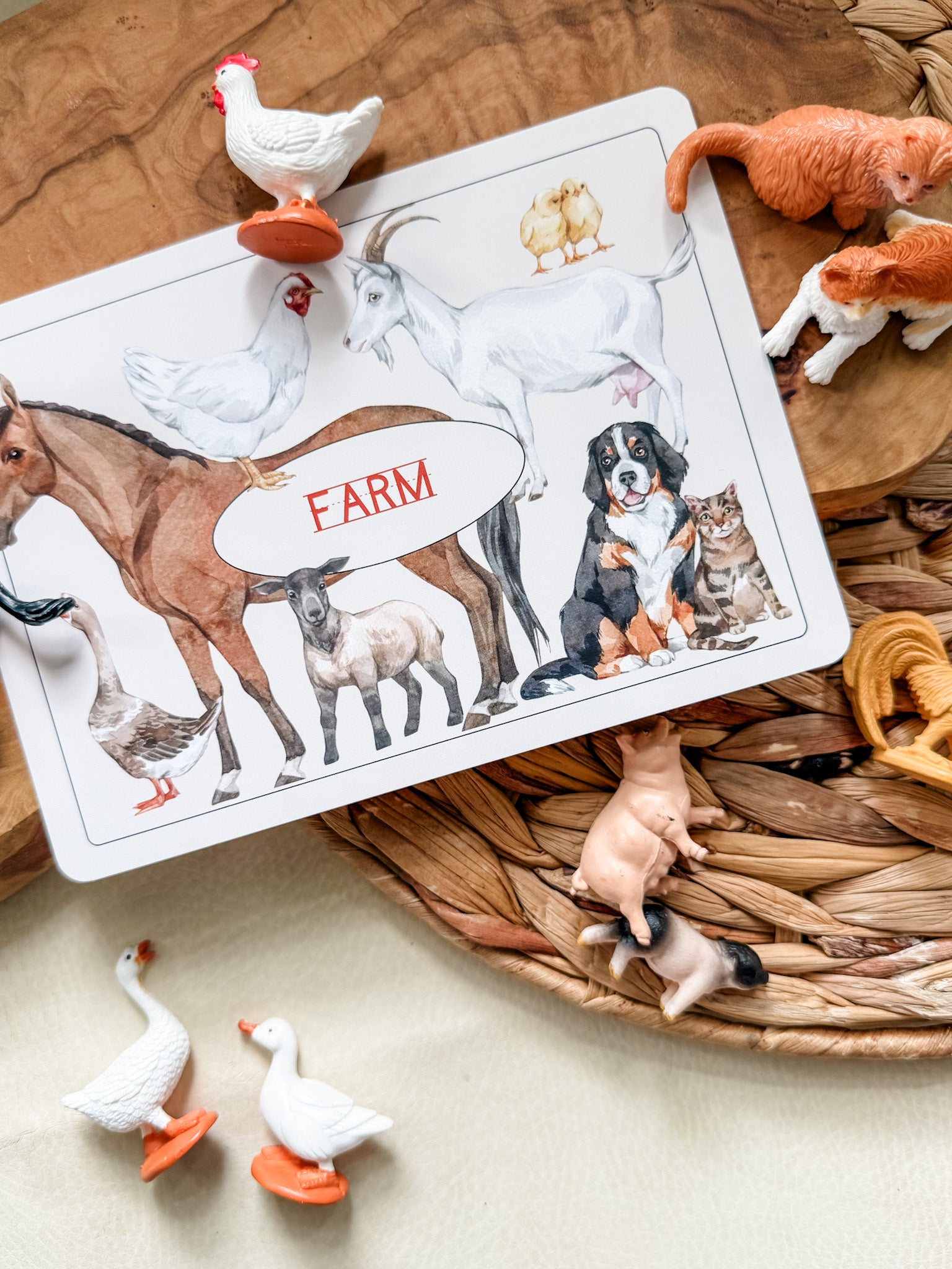 Creature Cards - Set 1 - Chickadees Wooden Toys