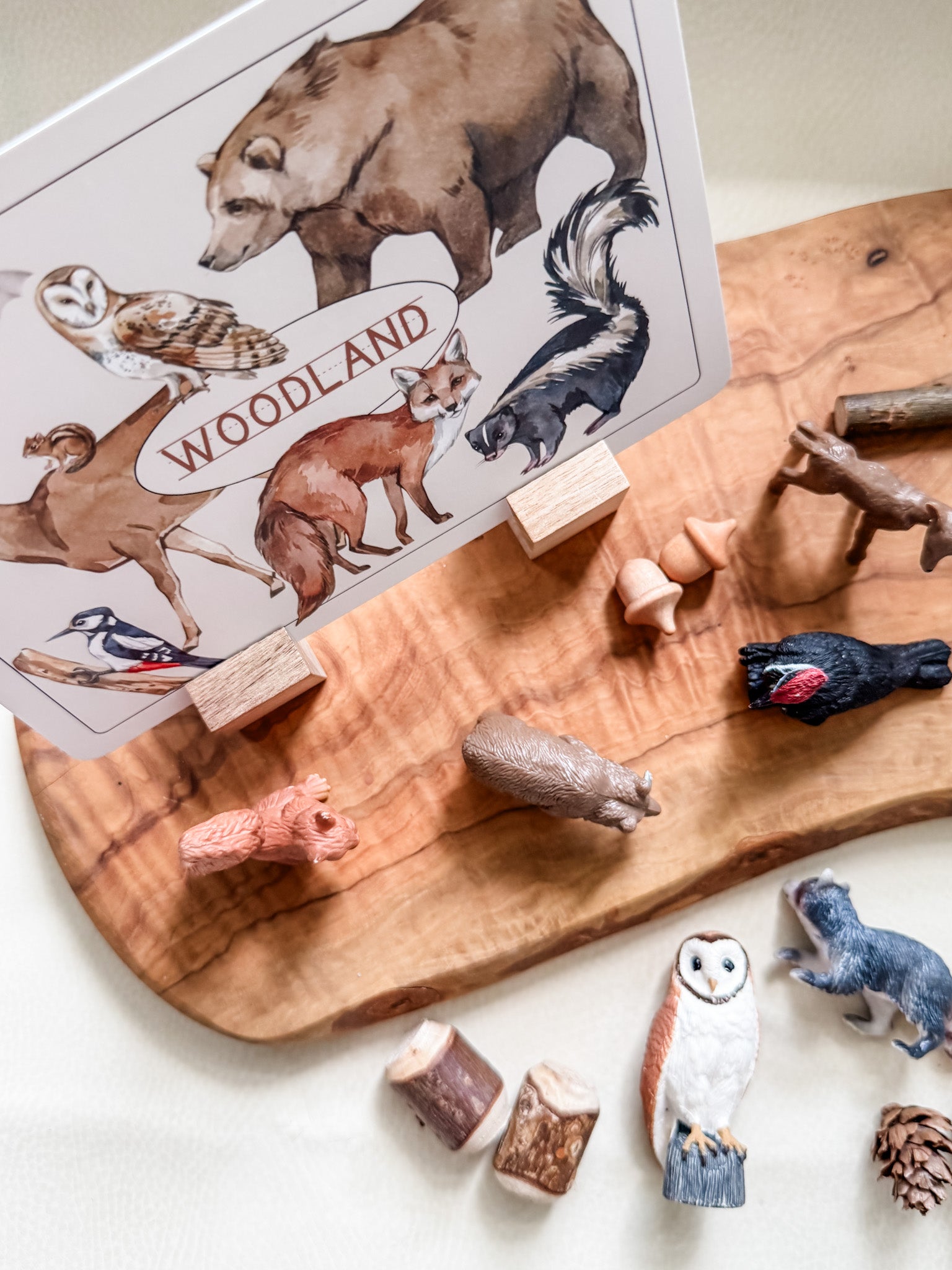 Creature Cards - Set 1 - Chickadees Wooden Toys
