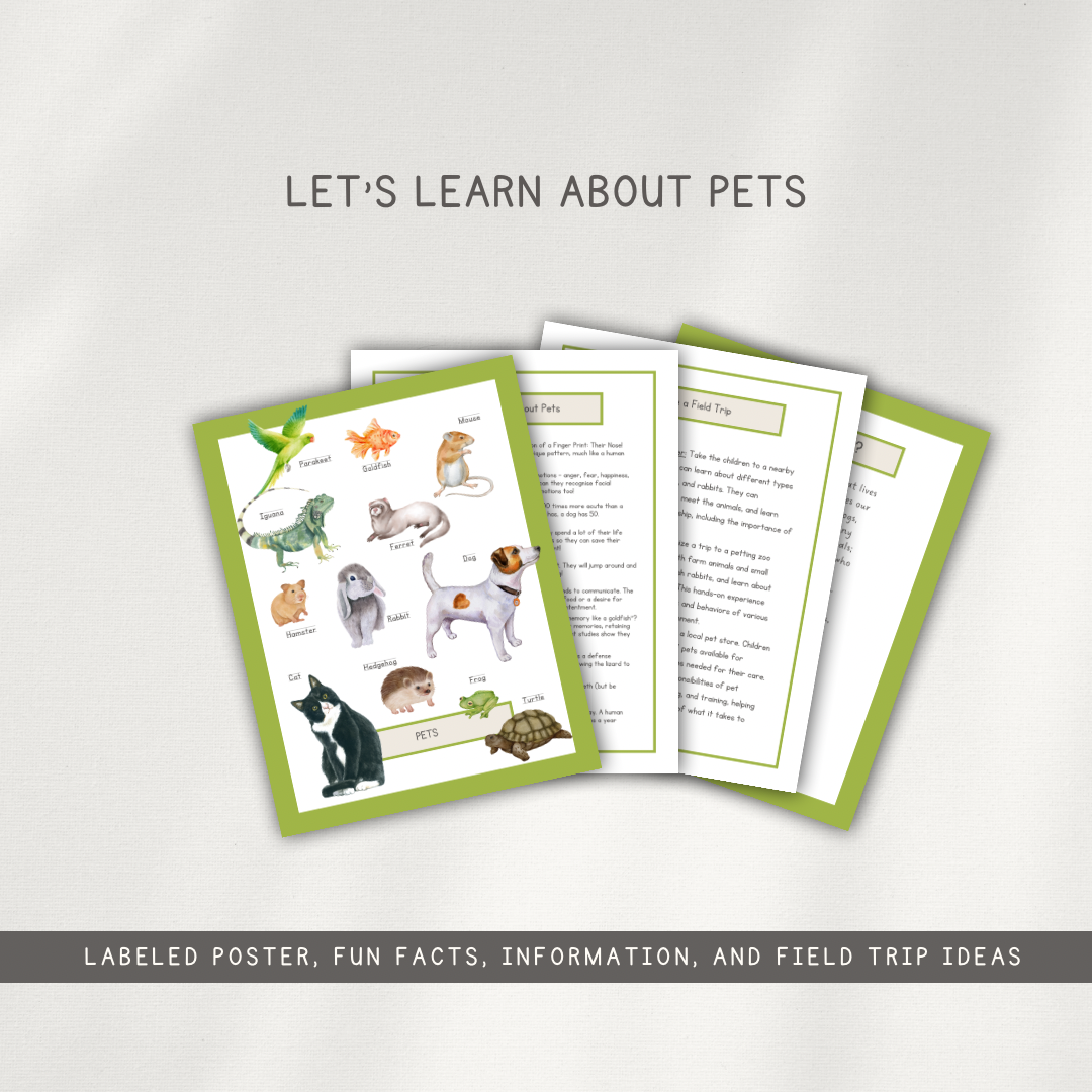 Pet Themed Activity Pages - Chickadees Wooden Toys