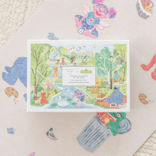 Sesame Street Adventure Bundle - Chickadees Wooden Toys