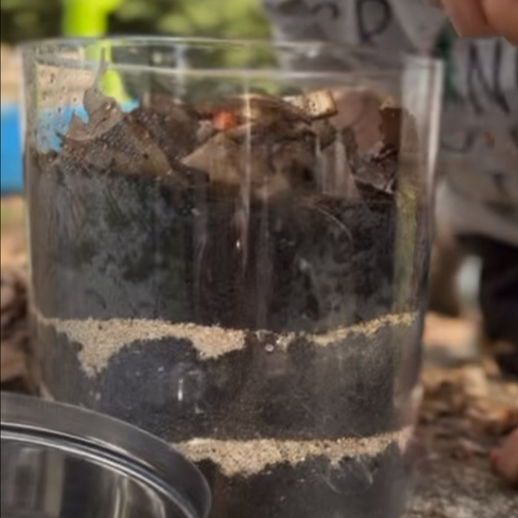 Create Your Own Wormery - FREE Digital Download - Chickadees Wooden Toys