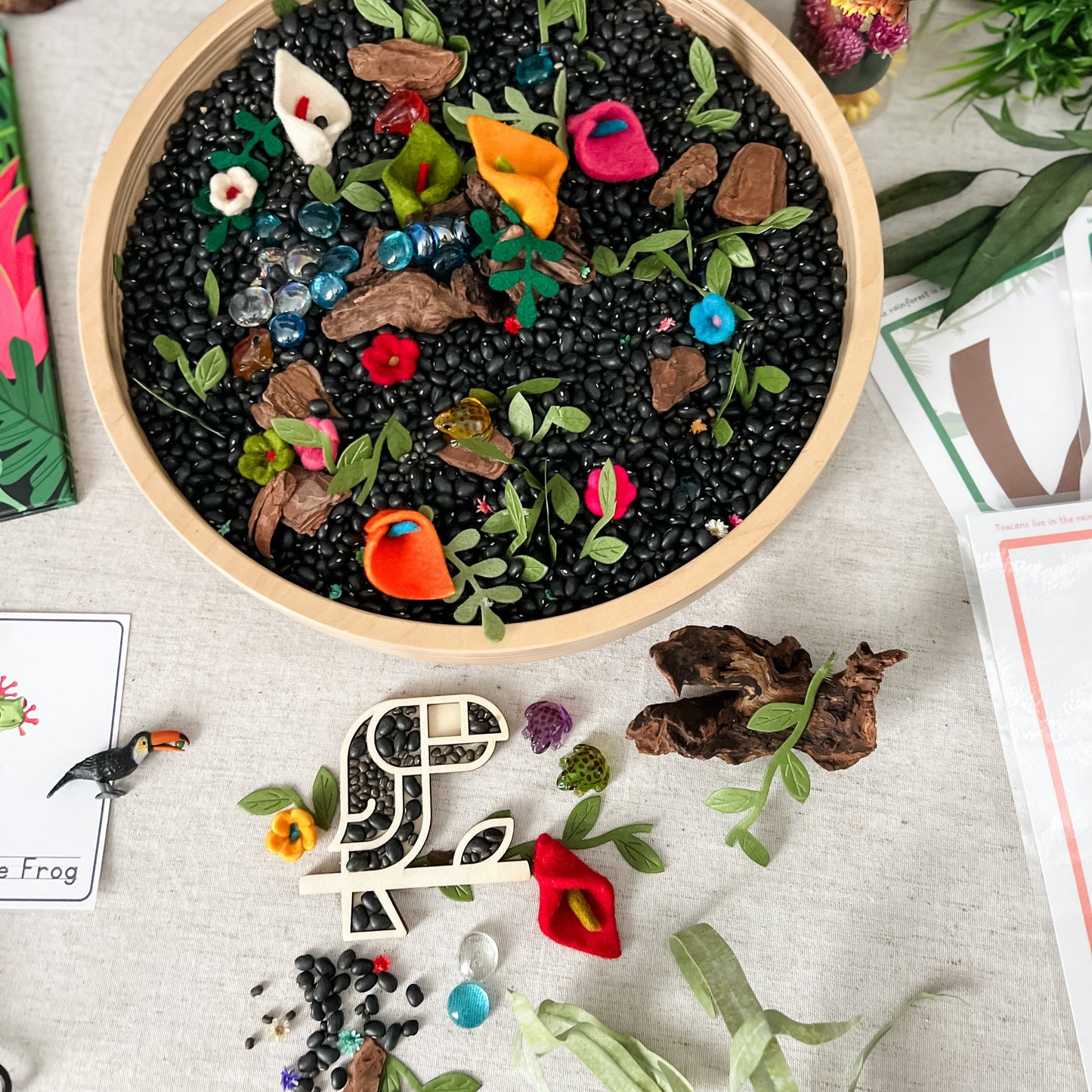 Rainforest Dig & Play - Chickadees Wooden Toys