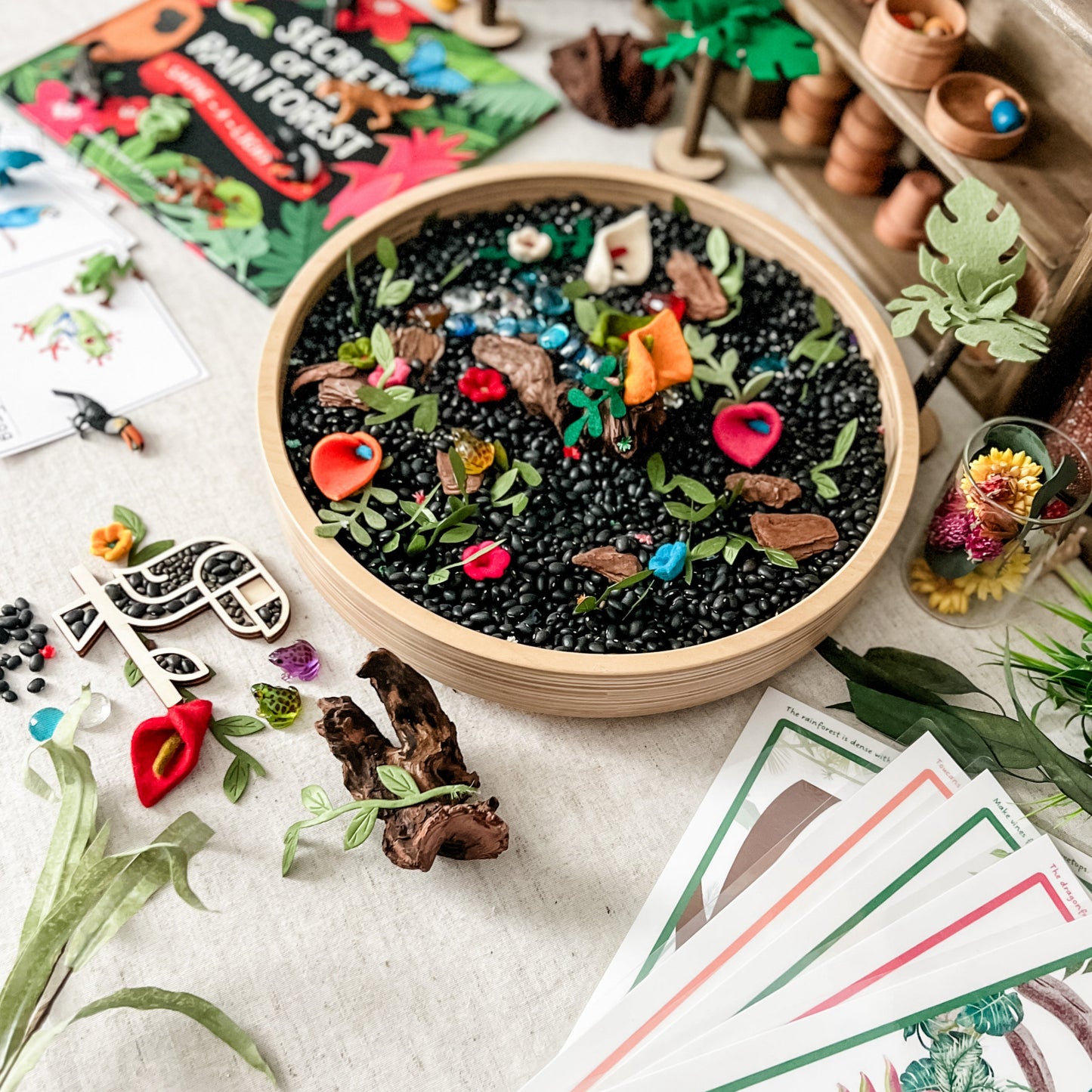 Rainforest Dig & Play - Chickadees Wooden Toys