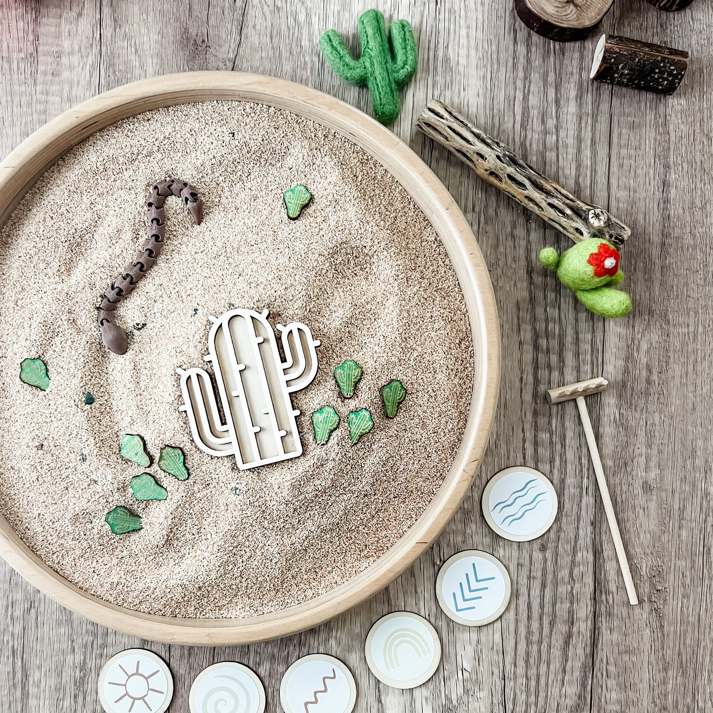 Desert Dig & Play - Chickadees Wooden Toys