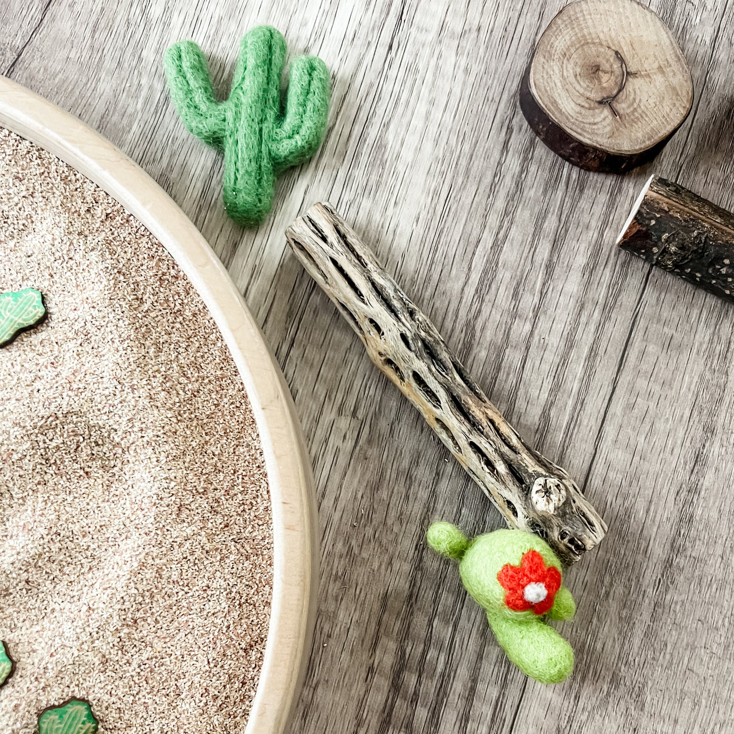 Desert Dig & Play