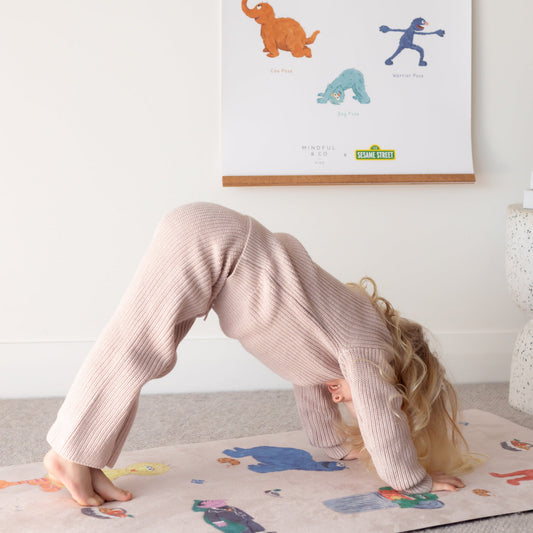 Sesame Street Yoga Bundle - Chickadees Wooden Toys