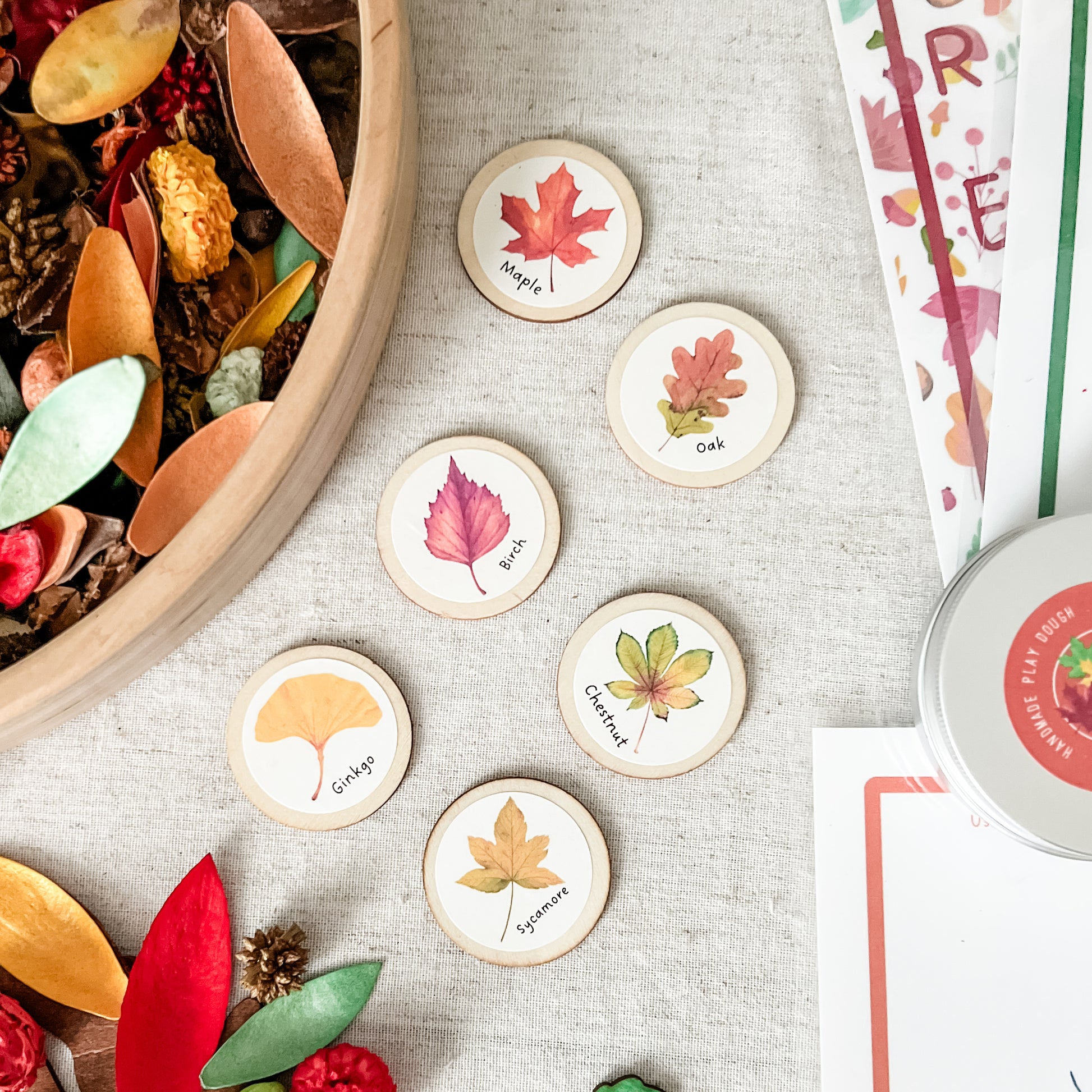 Dig and Play - Early Learning Subscription Box - Chickadees Wooden Toys