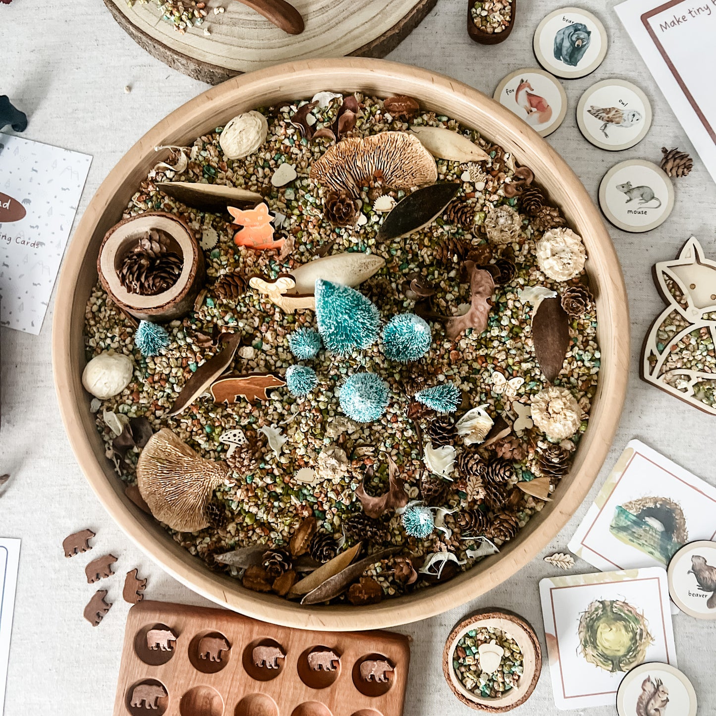 Woodland - Dig & Play