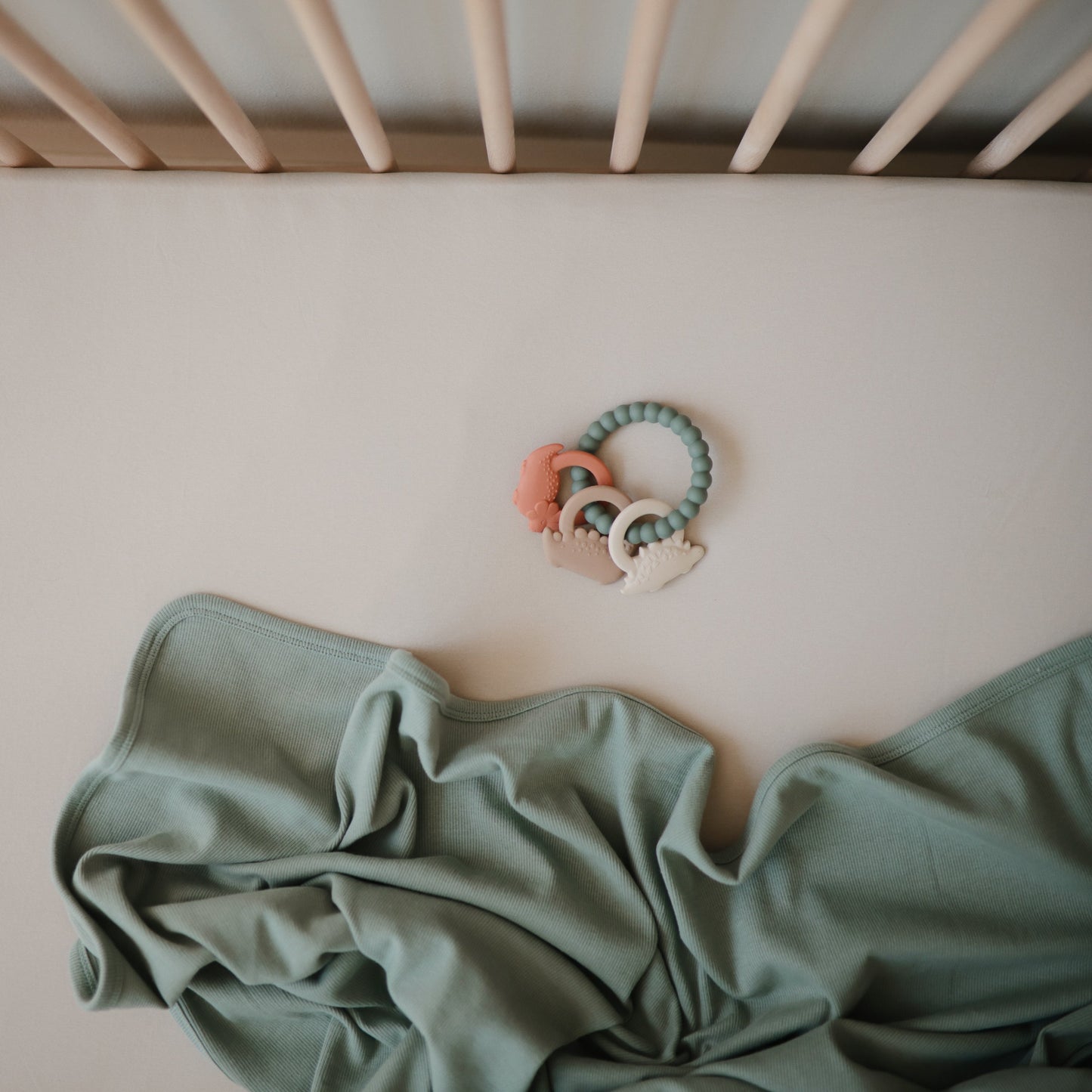 Dino Teething Ring - Chickadees Wooden Toys