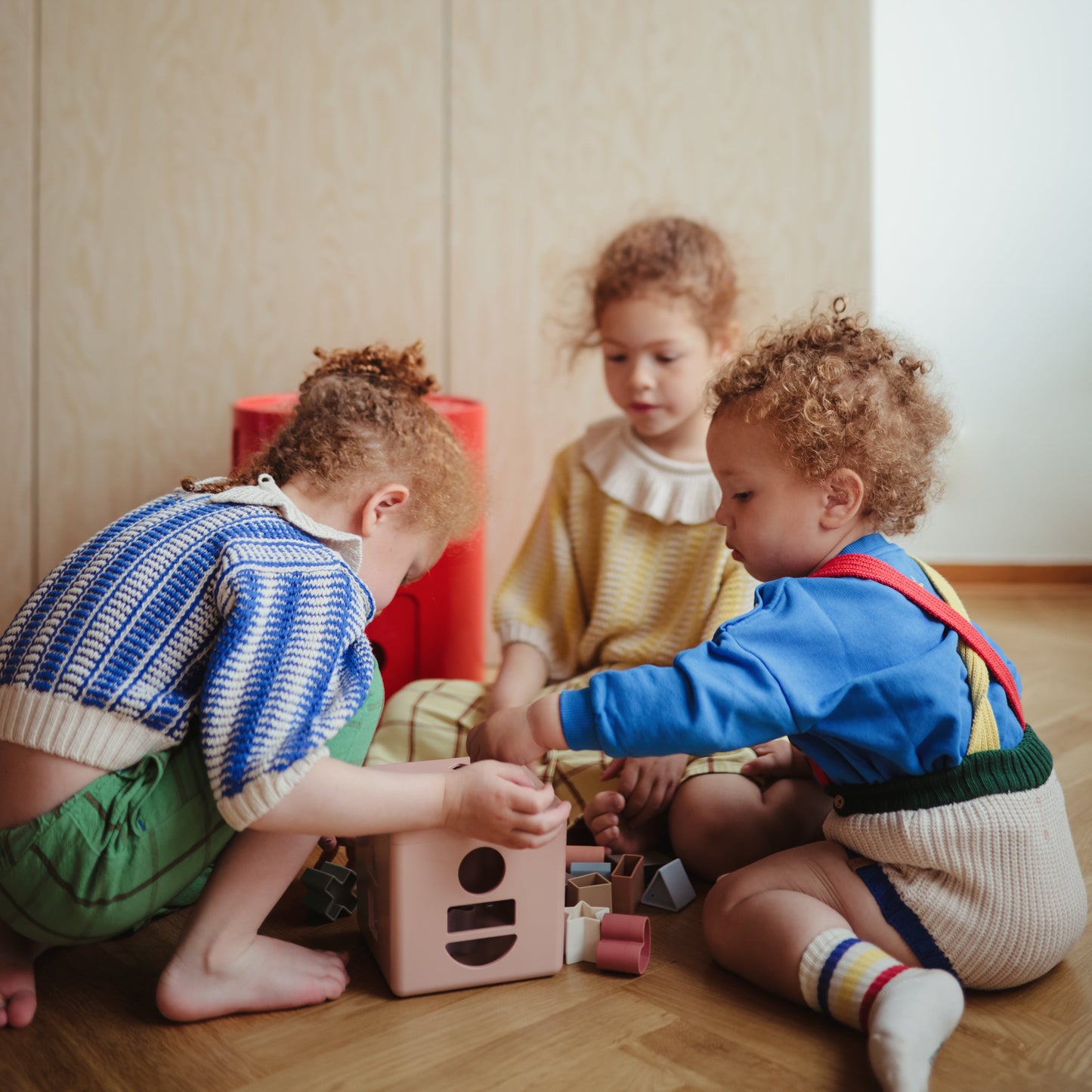 Shape Sorting Box - Chickadees Wooden Toys