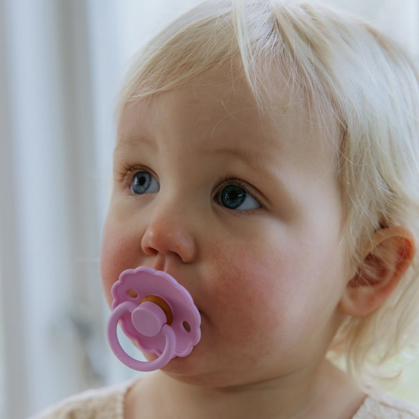 FRIGG Natural Rubber Pacifier 4-Pack - Chickadees Wooden Toys