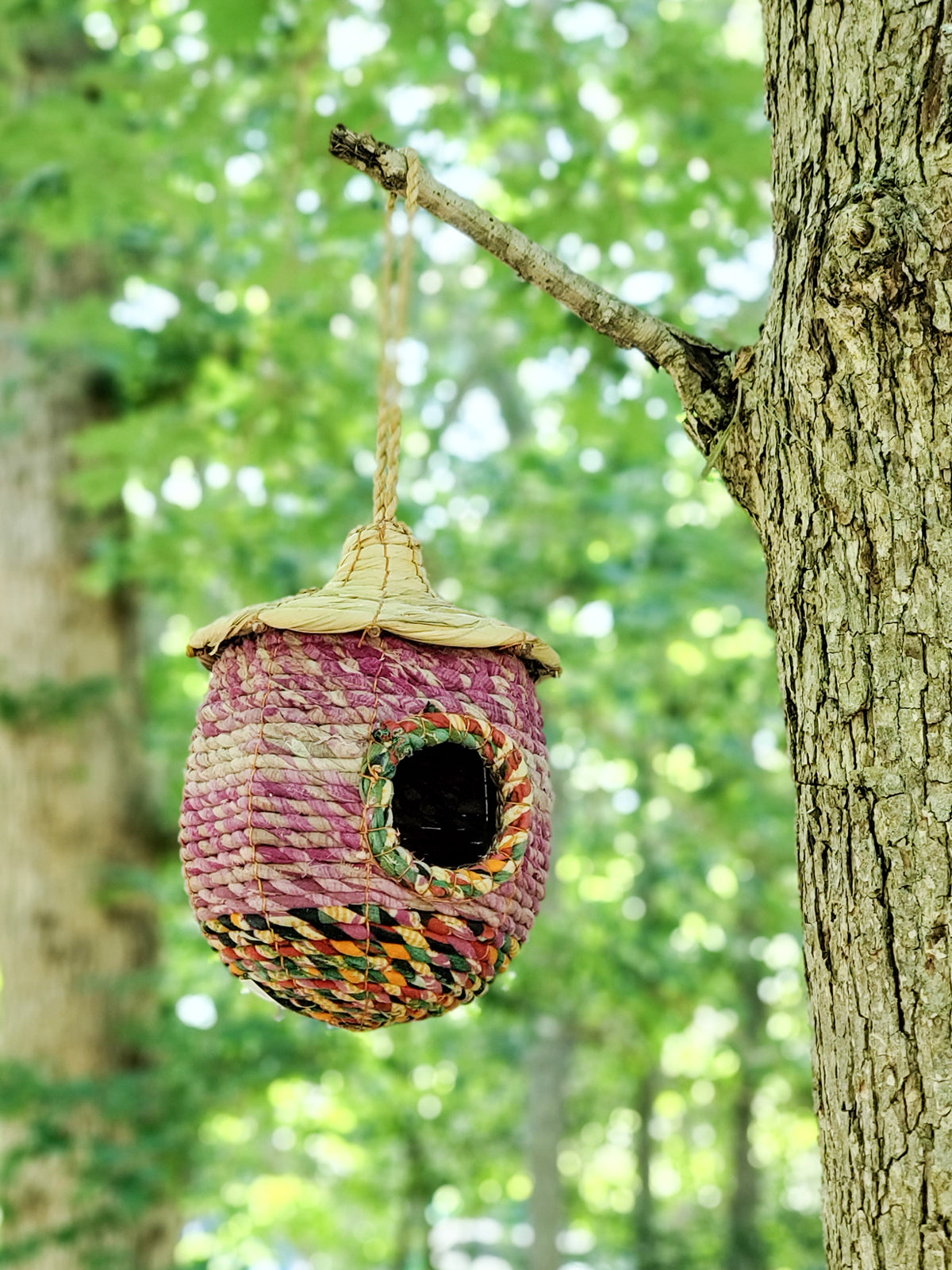 Seagrass & Sari Birdhouse - Acorn - Chickadees Wooden Toys