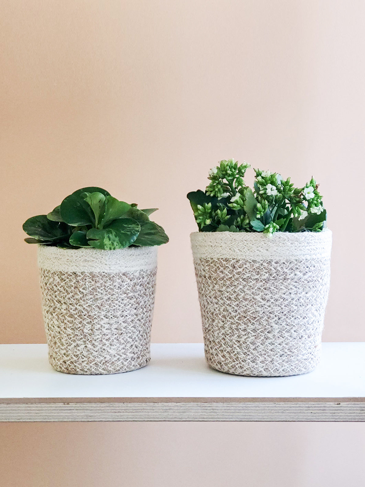 Agora Plant Basket - White - Chickadees Wooden Toys