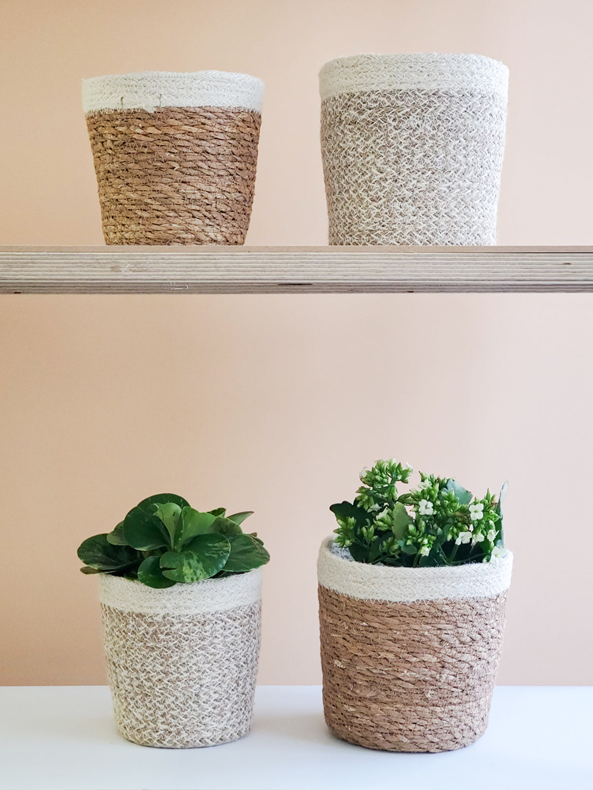 Agora Plant Basket - White - Chickadees Wooden Toys