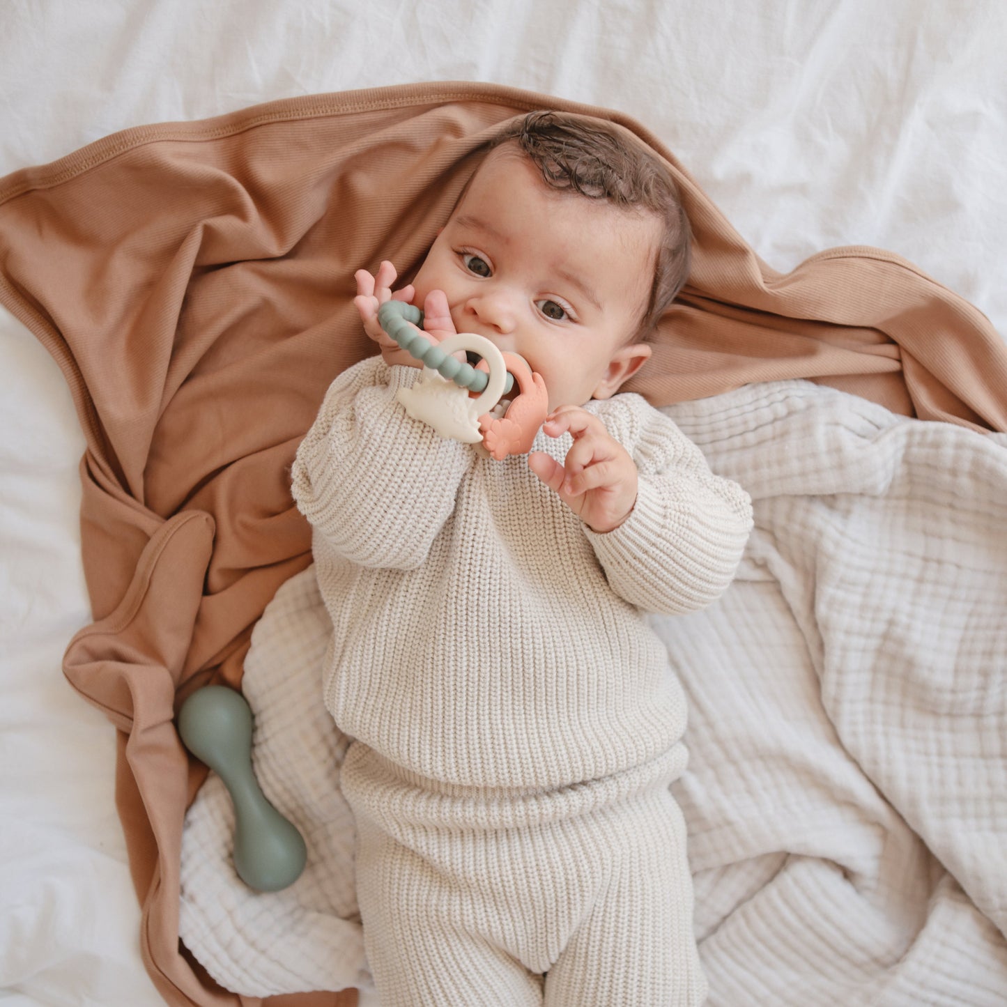Dino Teething Ring - Chickadees Wooden Toys
