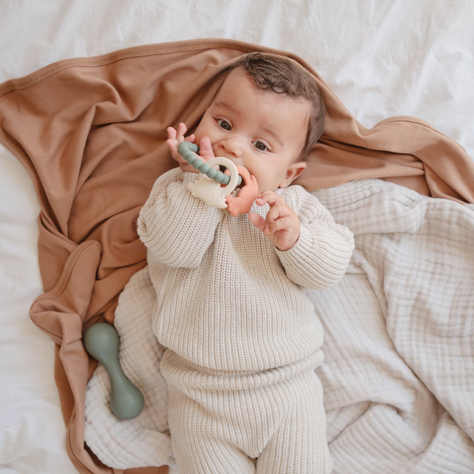 Dino Teething Ring - Chickadees Wooden Toys
