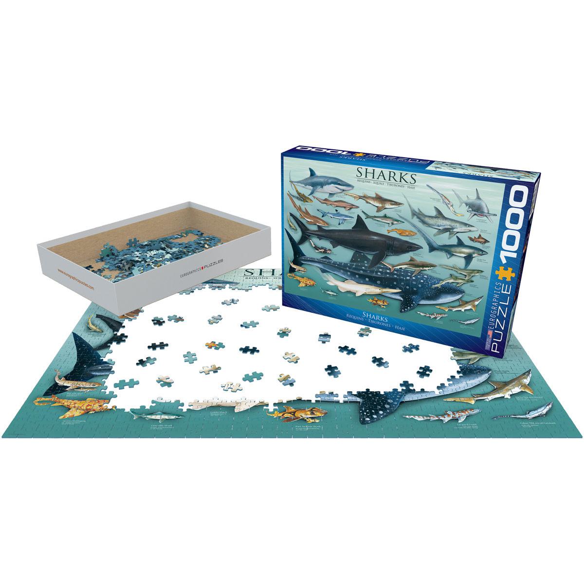 Sharks 1000 Piece Jigsaw Puzzle Eurographics