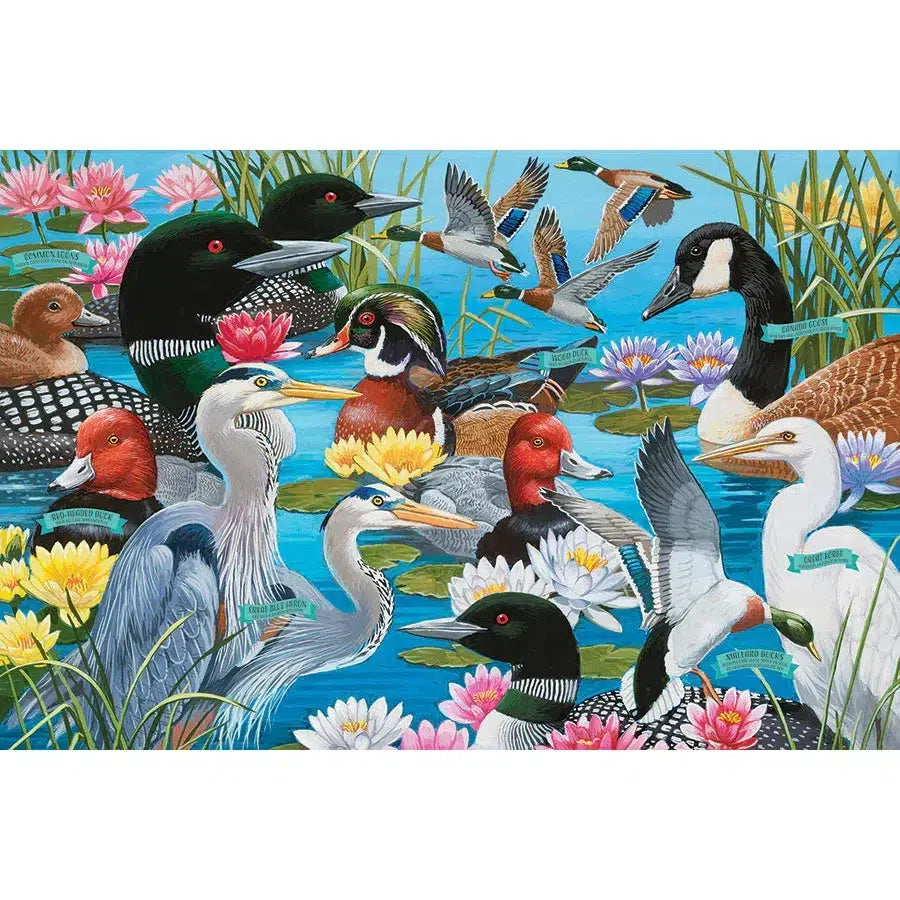 Water Birds 36 Piece Floor Jigsaw Puzzle Cobble Hill - Chickadees Wooden Toys
