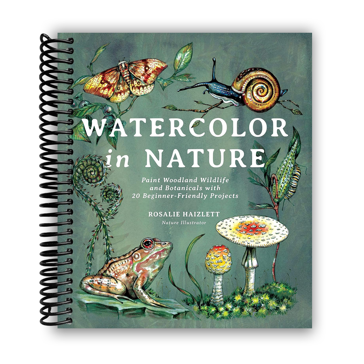 Watercolor in Nature: Paint Woodland Wildlife and Botanicals with 20 Beginner-Friendly Projects (Spiral Bound) - Chickadees Wooden Toys
