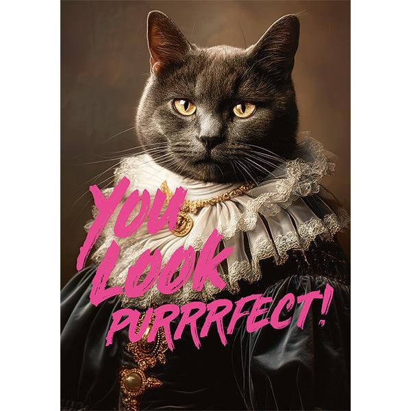 You Look Purrrfect! 1000 Piece Jigsaw Puzzle Piatnik