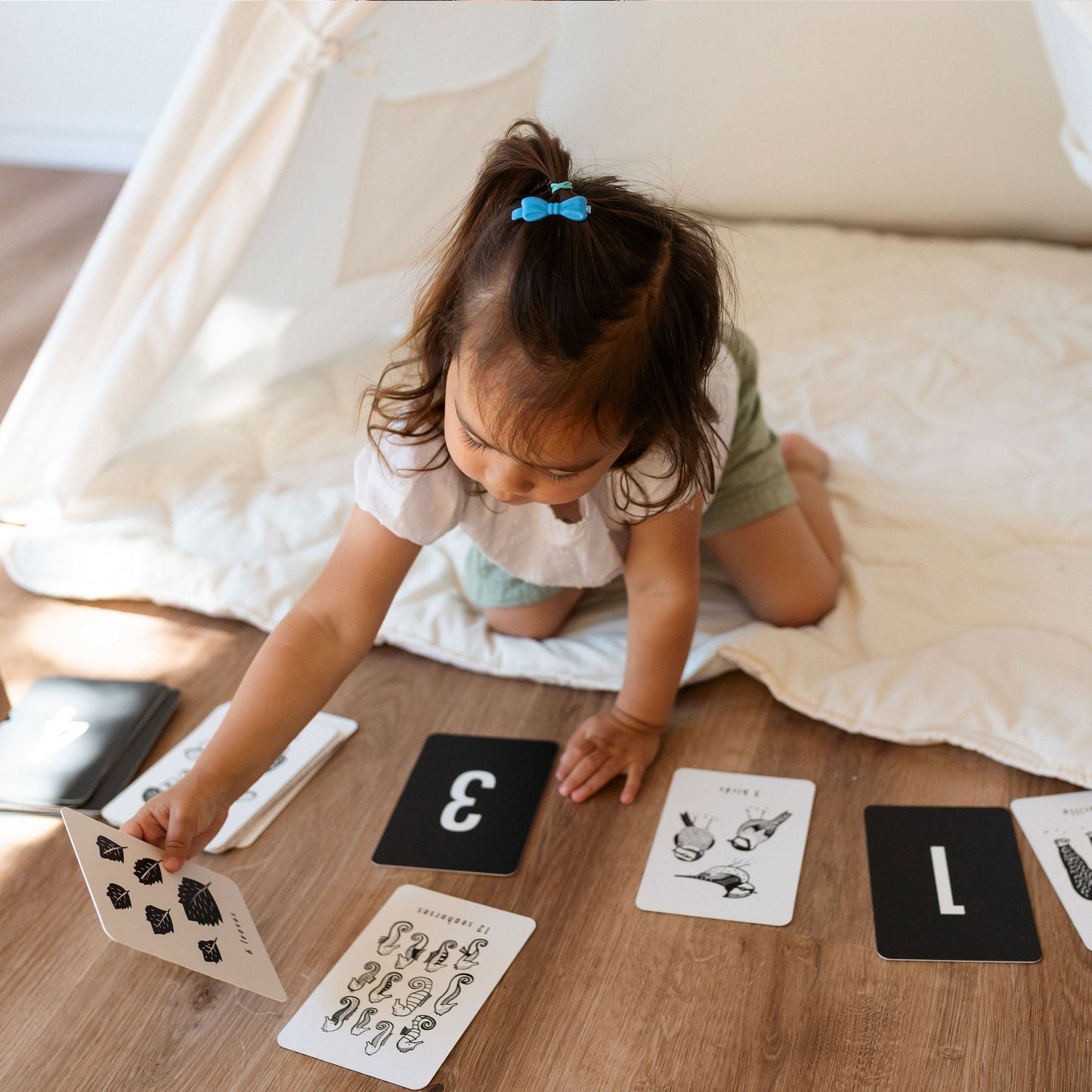 Nature Number Cards - Chickadees Wooden Toys