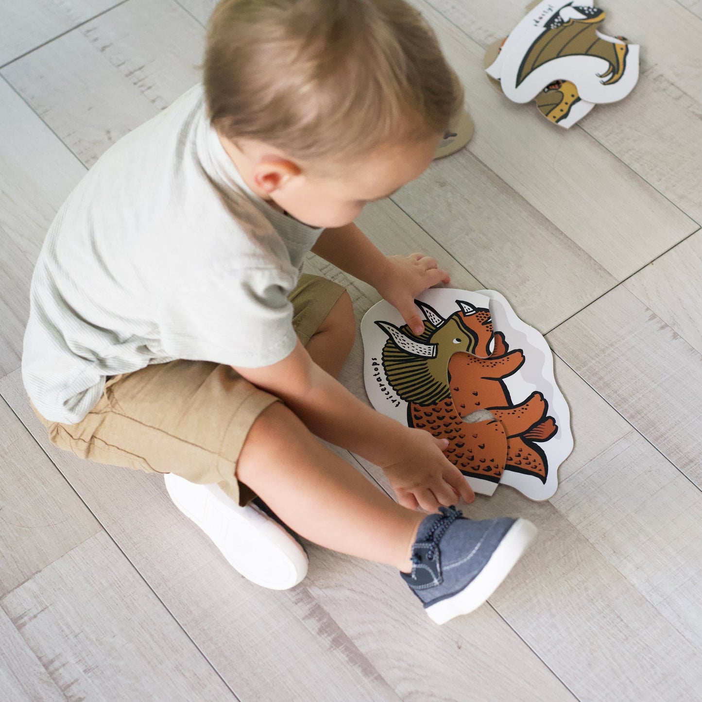 Beginner Puzzles - Dinos - Chickadees Wooden Toys