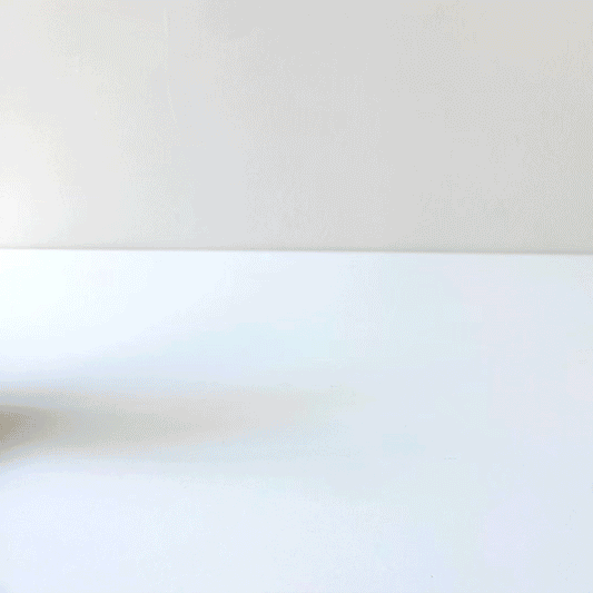 Bunny Push Toy - Chickadees Wooden Toys