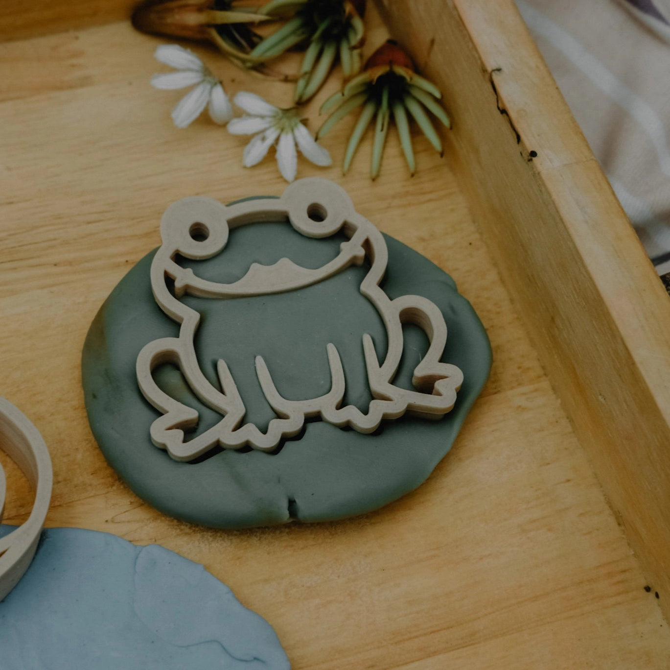 Pond Life Eco Cutters