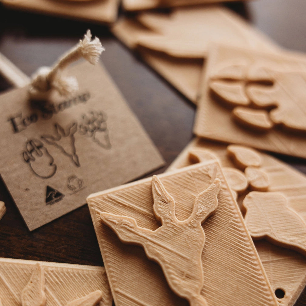 Dinosaur Footprints - Eco Stamp Set