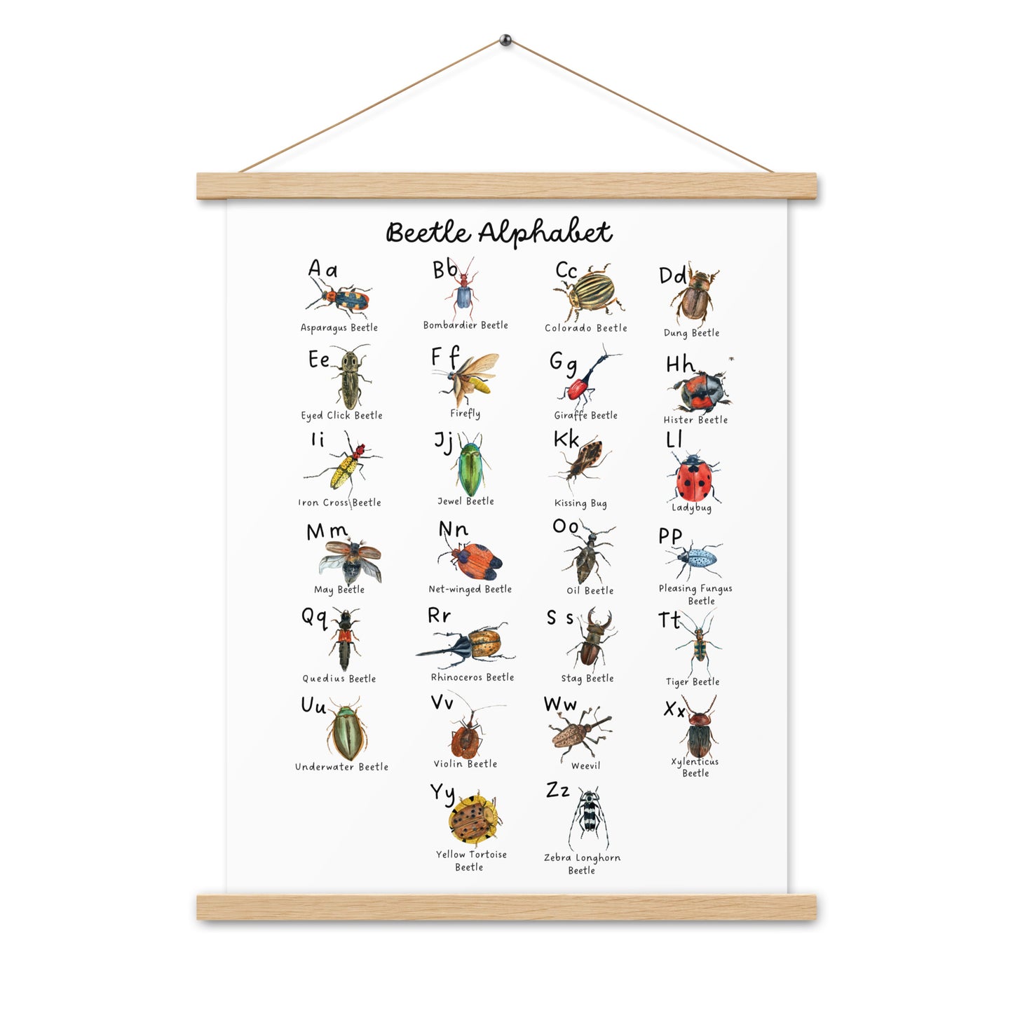 Beetle Alphabet - Matte 18x24 Poster with Wooden Hanger - White - Chickadees Wooden Toys