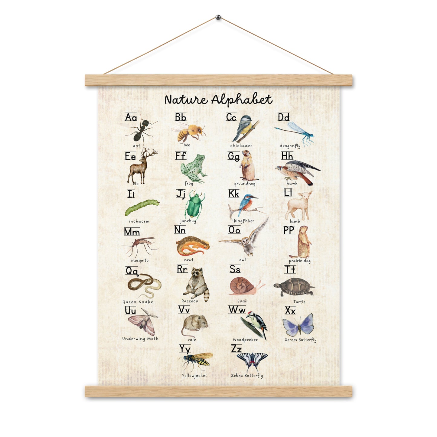 Nature Alphabet 1 - Matte 18x24 Poster with Wooden Hanger - Vintage Look - Chickadees Wooden Toys