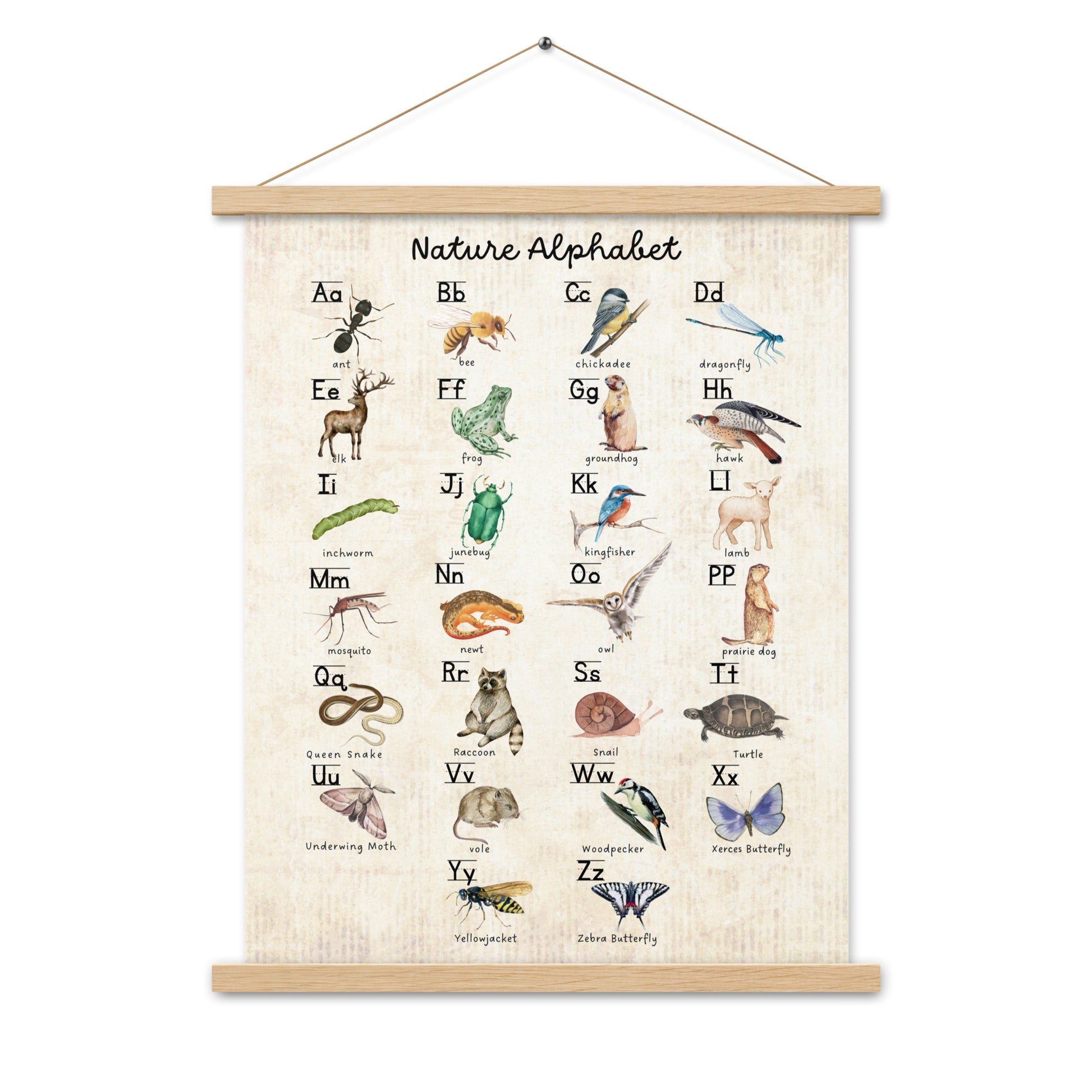 Nature Alphabet 1 - Matte 18x24 Poster with Wooden Hanger - Vintage Look - Chickadees Wooden Toys