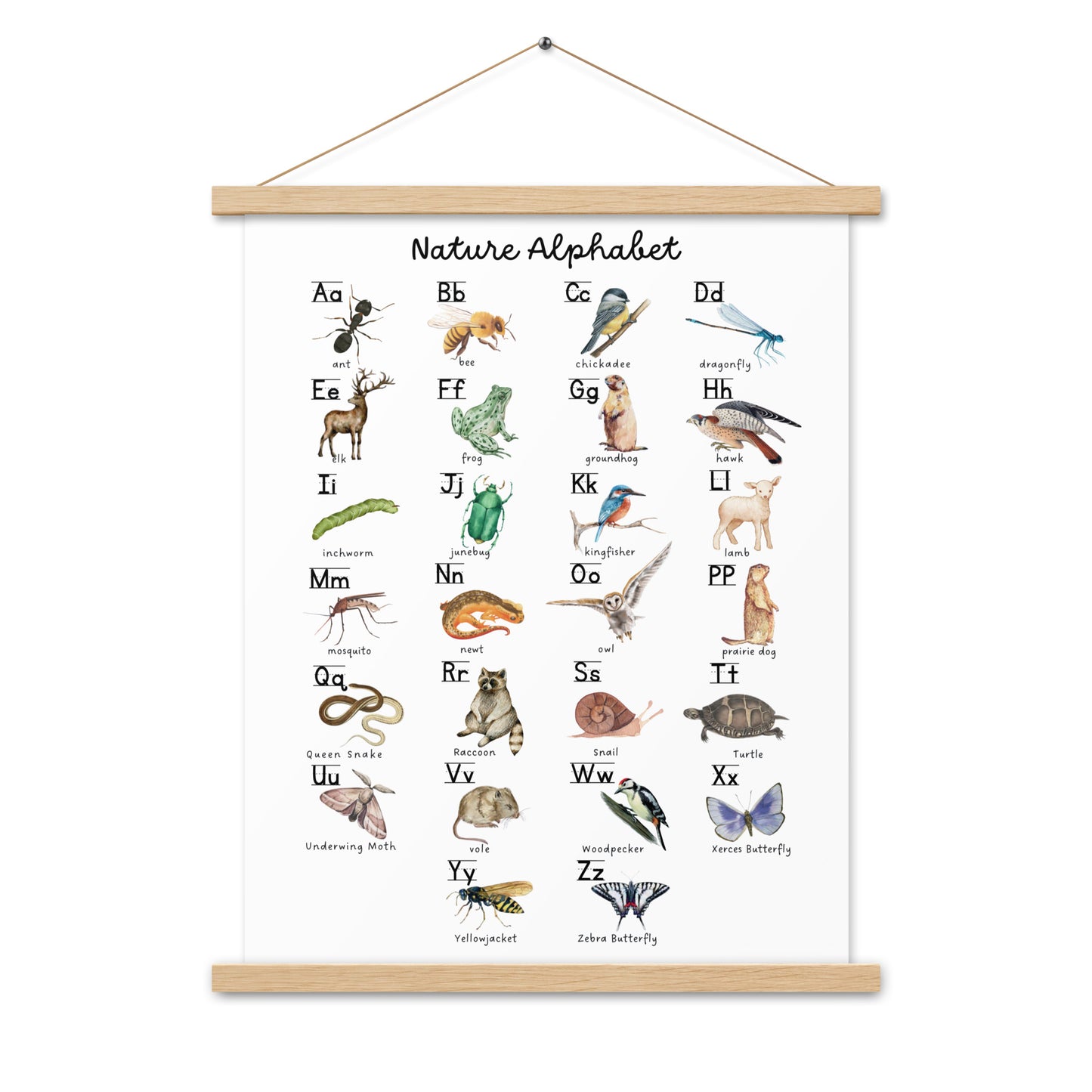 Nature Alphabet 1 - Matte 18x24 Poster with Wooden Hanger - White - Chickadees Wooden Toys