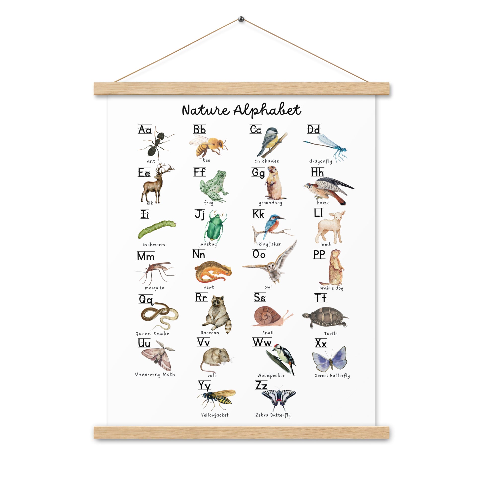 Nature Alphabet 1 - Matte 18x24 Poster with Wooden Hanger - White - Chickadees Wooden Toys