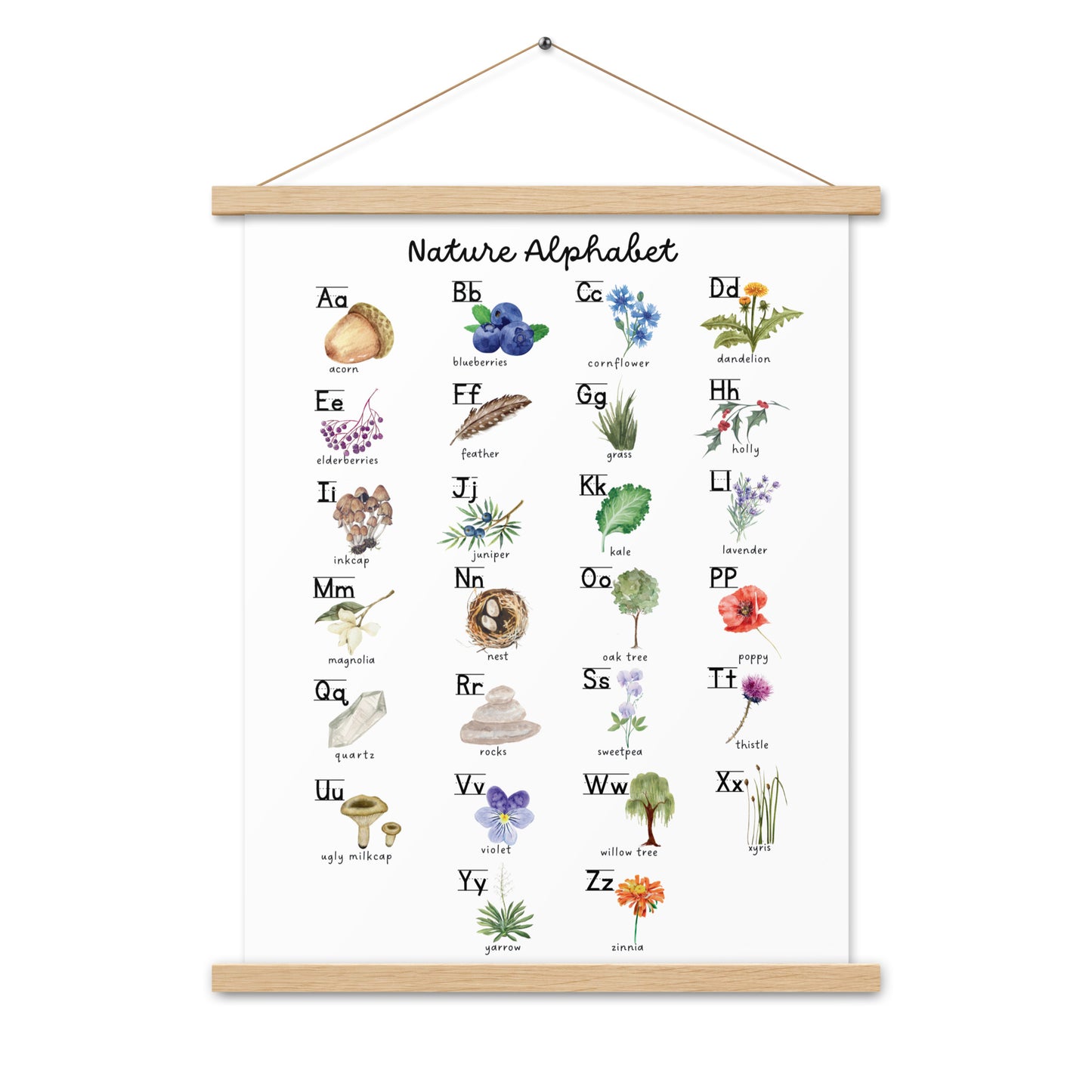 Nature Alphabet 2 - Matte 18x24 Poster with Wooden Hanger - White - Chickadees Wooden Toys