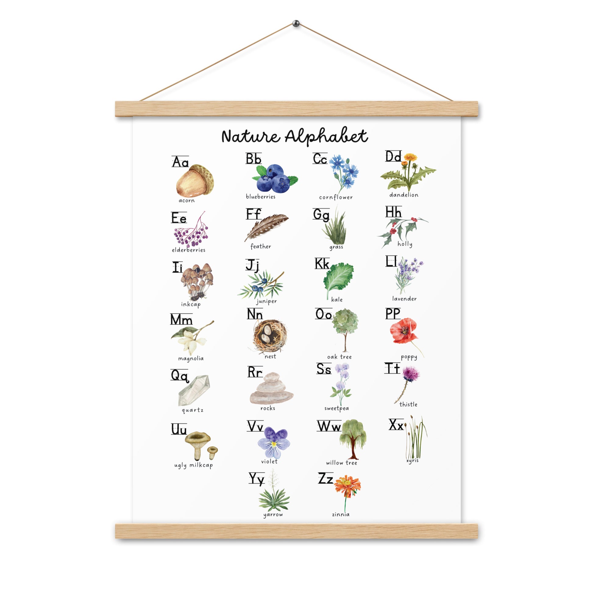 Nature Alphabet 2 - Matte 18x24 Poster with Wooden Hanger - White - Chickadees Wooden Toys