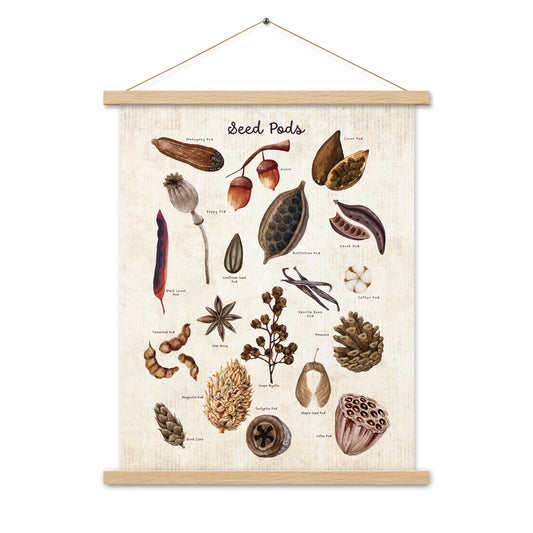 Seed Pods - Matte 18x24 Poster with Wooden Hanger - Vintage Look - Chickadees Wooden Toys