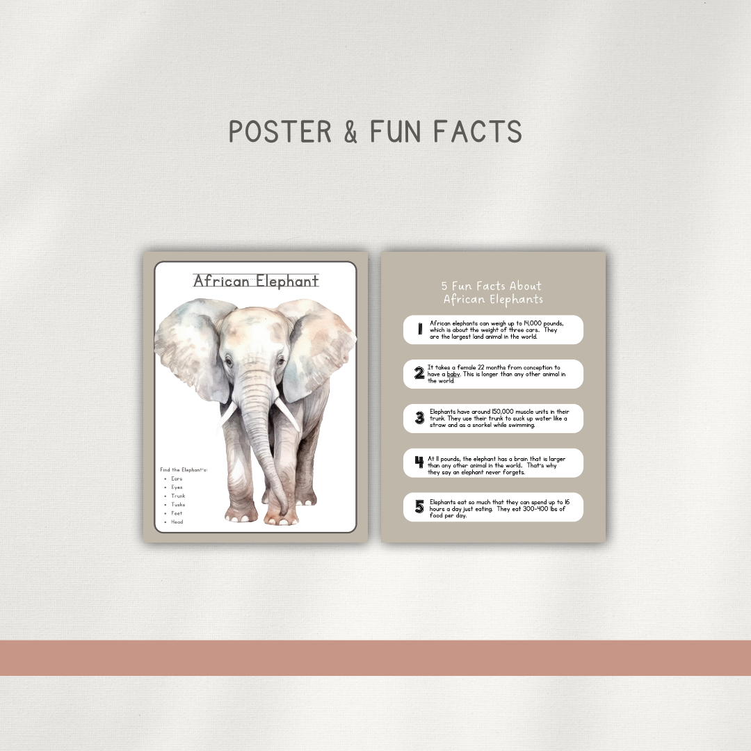 African Elephant - Preschool Activity Pages - Chickadees Wooden Toys