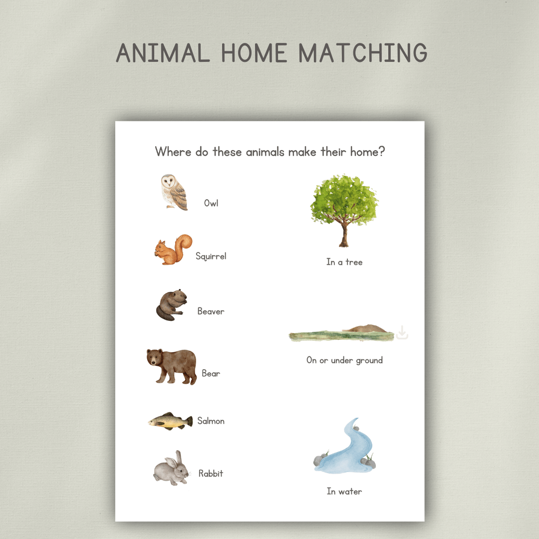 Animal Homes Preschool Activity Pages - Chickadees Wooden Toys