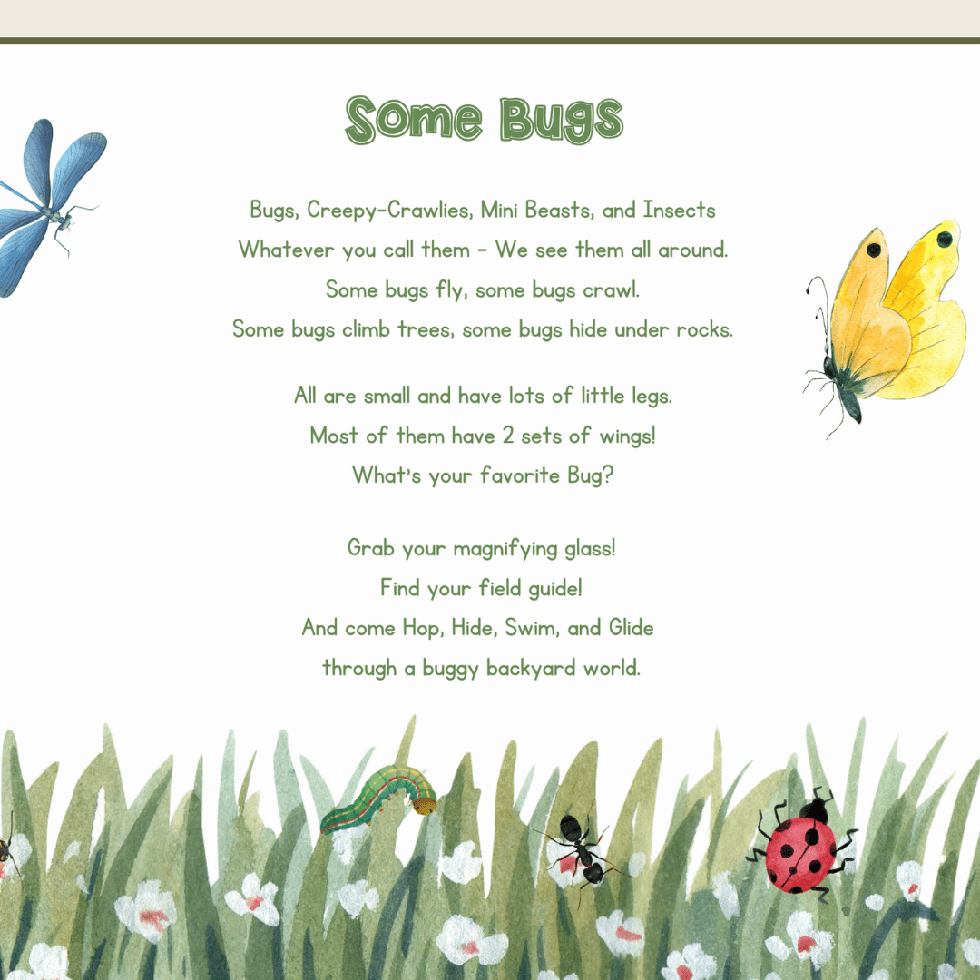 Bugs Preschool Activity Pages - Chickadees Wooden Toys