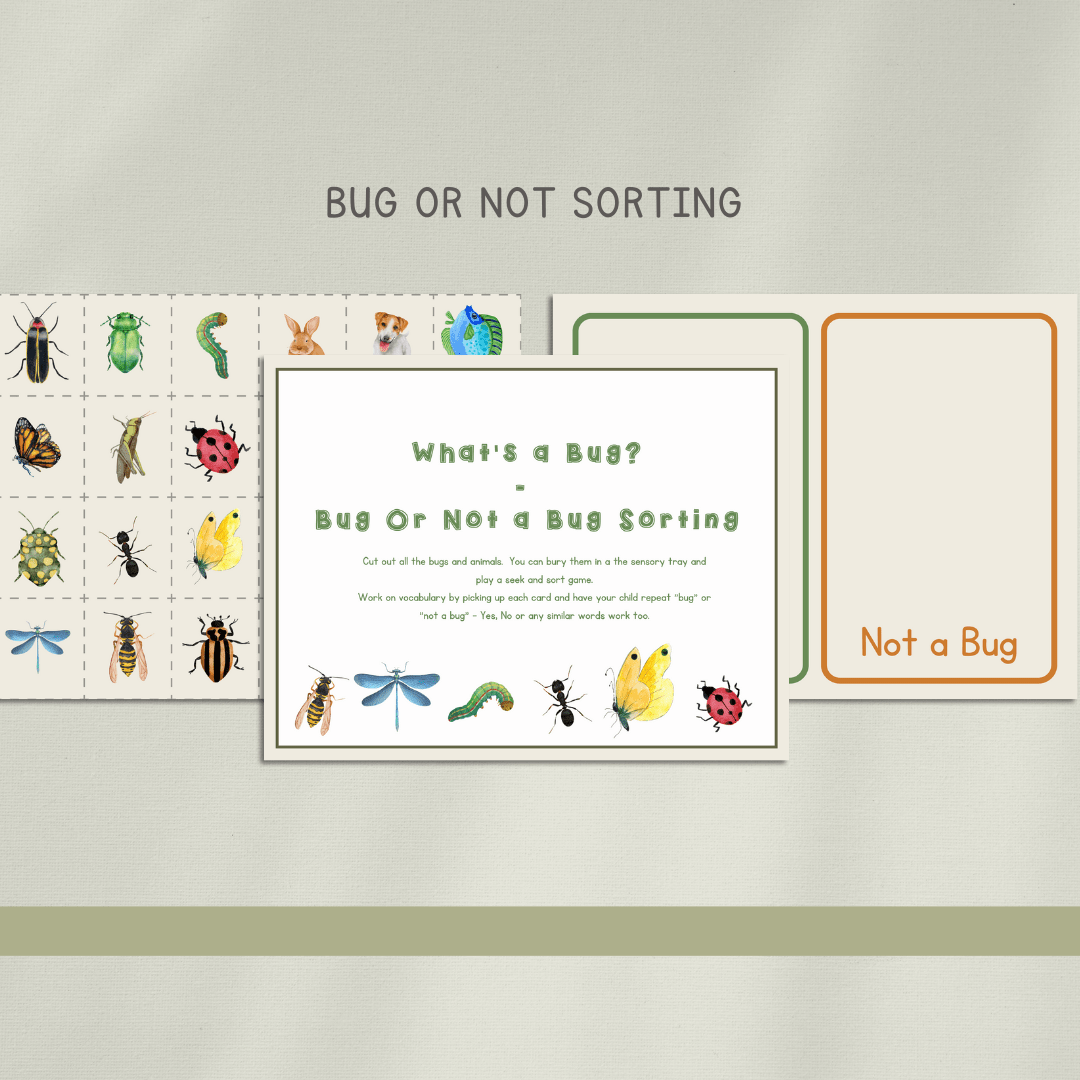 Bugs Preschool Activity Pages - Chickadees Wooden Toys