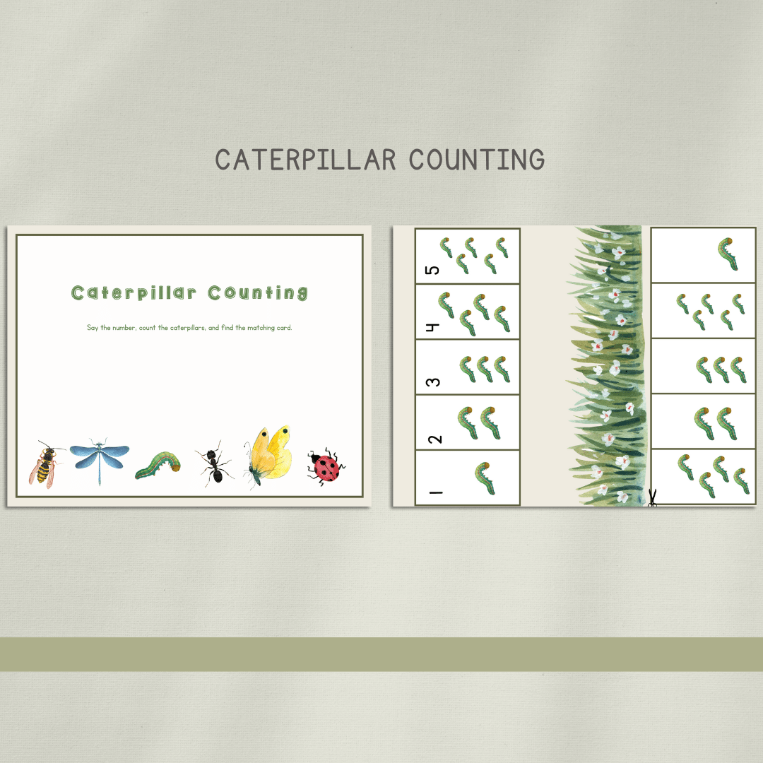 Bugs Preschool Activity Pages - Chickadees Wooden Toys