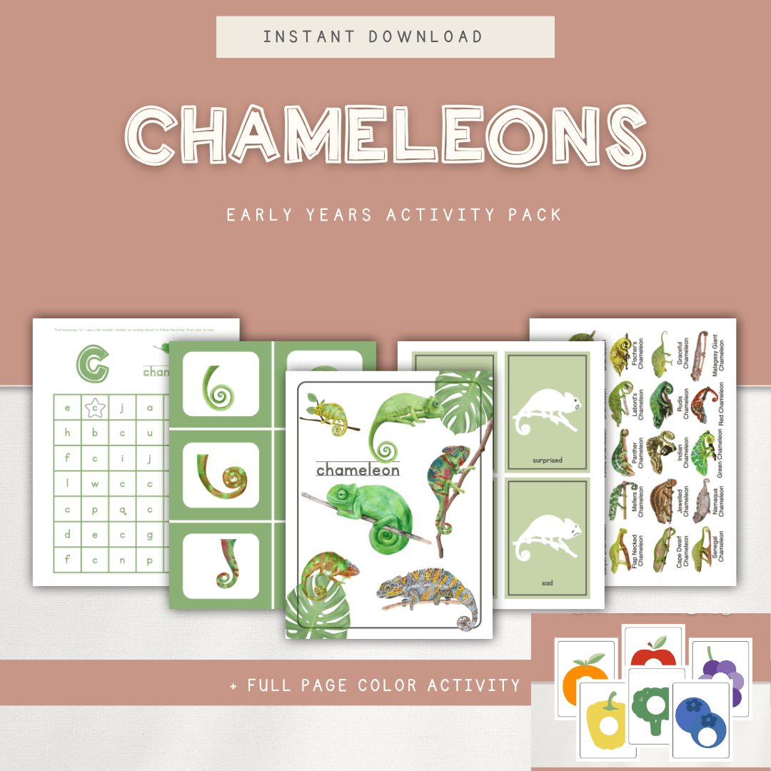 Chameleons - Preschool Activity Pages - Chickadees Wooden Toys