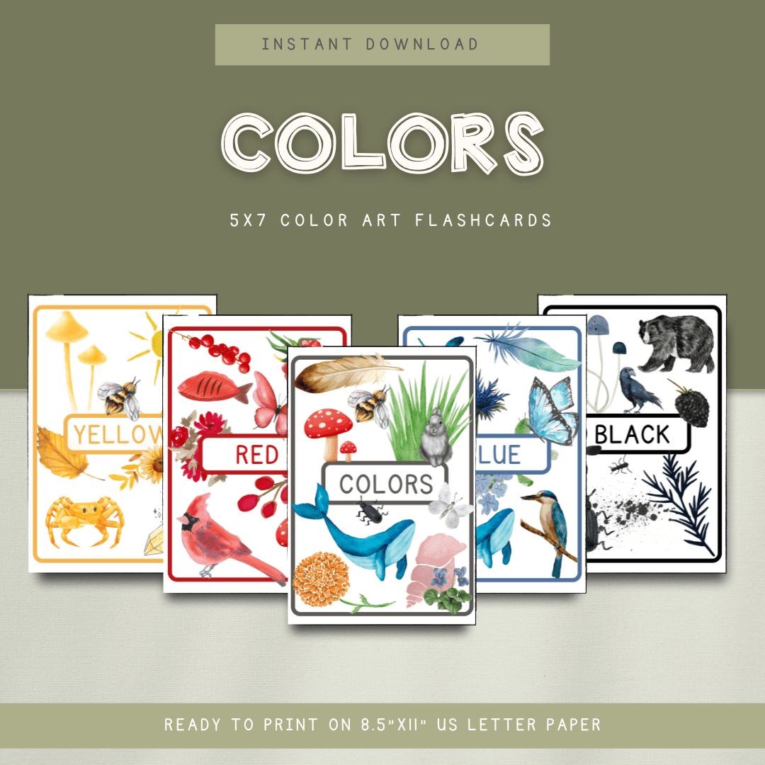 Color Flashcards - DIGITAL DOWNLOAD - Chickadees Wooden Toys