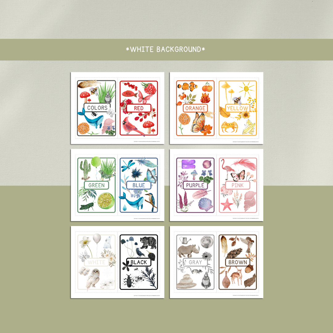 Color Flashcards - DIGITAL DOWNLOAD - Chickadees Wooden Toys