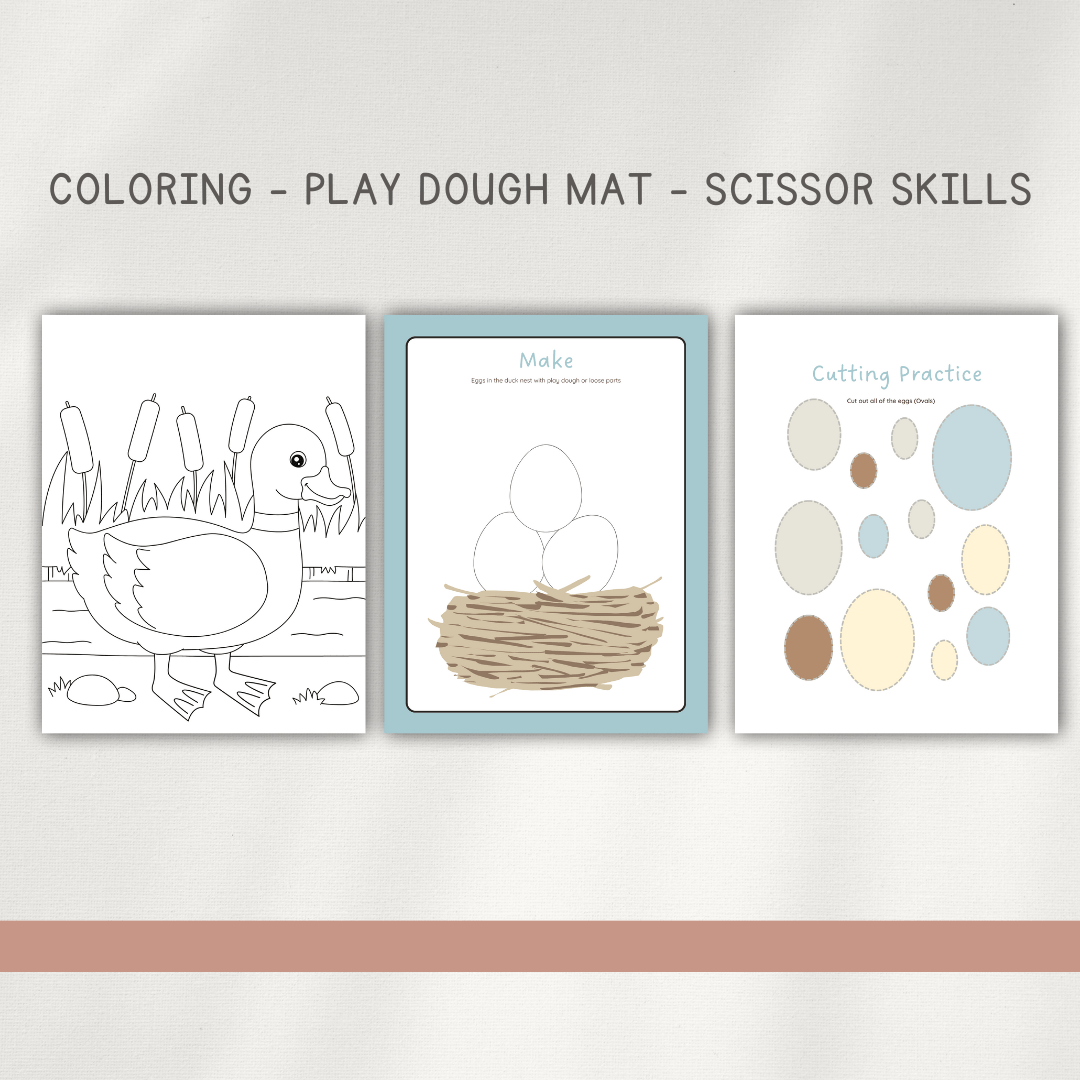 Ducks - Preschool Activity Pages - Chickadees Wooden Toys