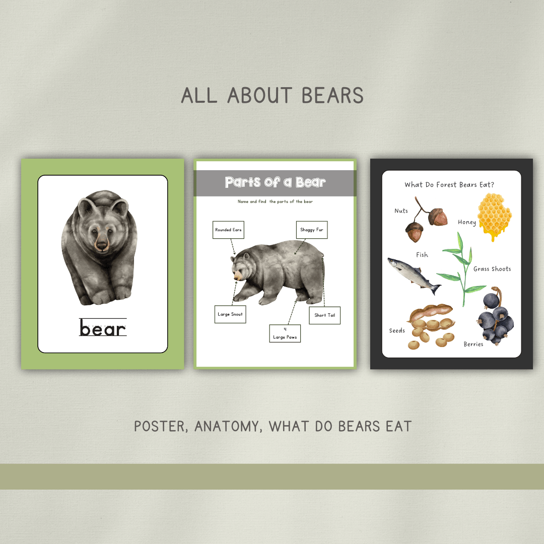 Forest Bears Preschool Activity Pages - Chickadees Wooden Toys