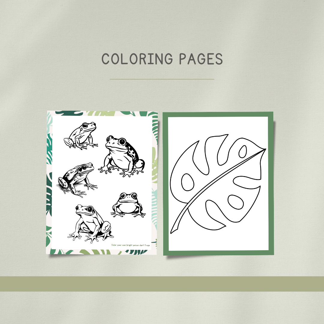 Frogs Preschool Activity Pages - Chickadees Wooden Toys