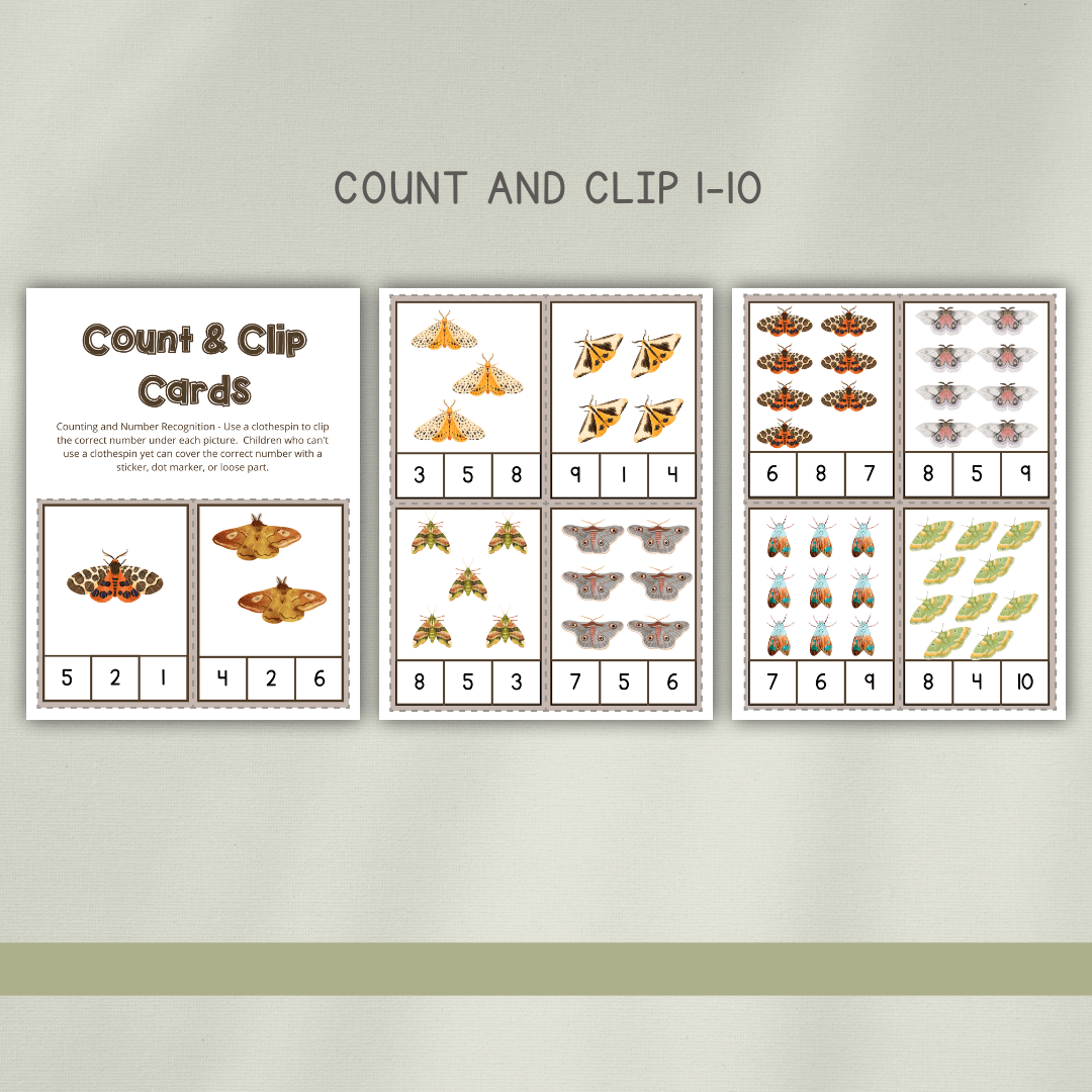 Moths Preschool Activity Pages - Chickadees Wooden Toys