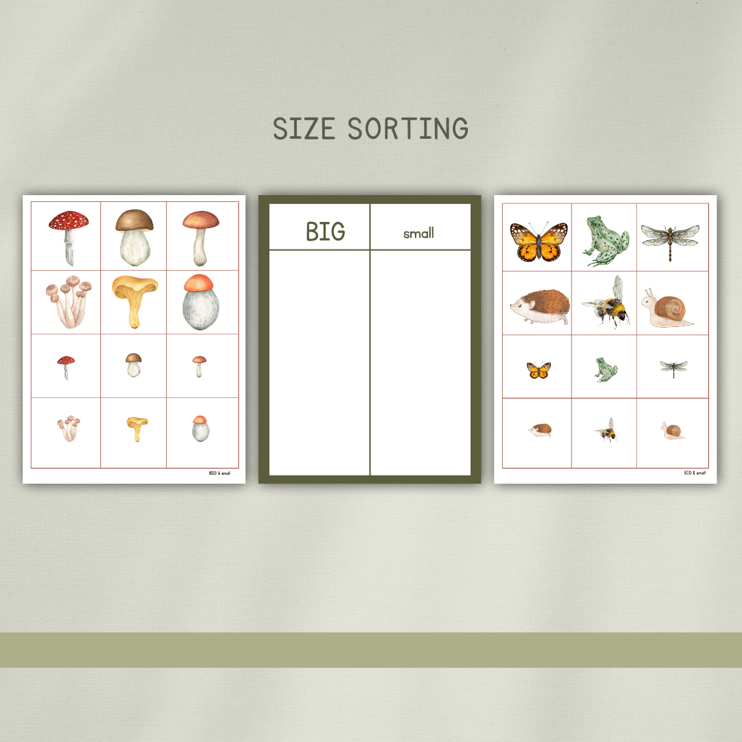 Mushrooms Preschool Activity Pages - Chickadees Wooden Toys